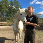 Pferde-Therapie Henry Sandkuhle Pferdetrainer