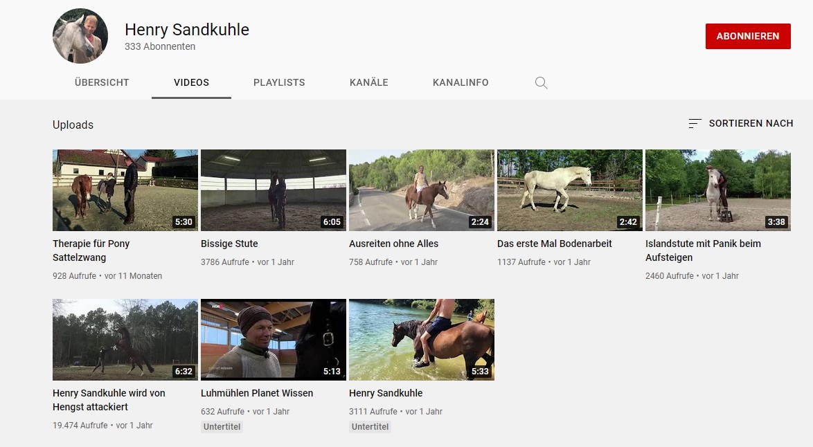 YouTube Channel Henry Sandkuhle