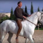 mit-einem-traumatisierten-schimmelhengst-Pferde-Therapie Henry Sandkuhle