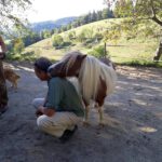 ungewohnte-gren-Pferde- Therapie Henry Sandkuhle