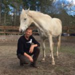 vertrautheit-nach-ein-paar-minuten-Pferde- Therapie Henry Sandkuhle